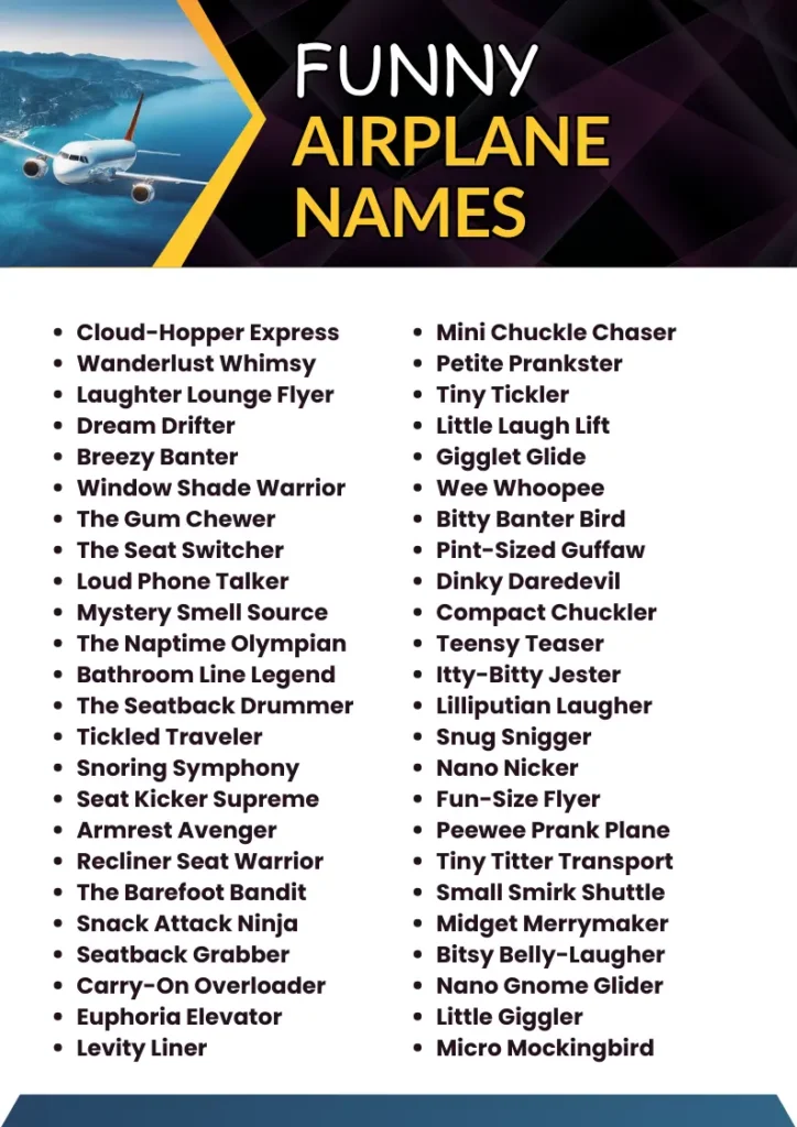 Funny Airplane Names infographic