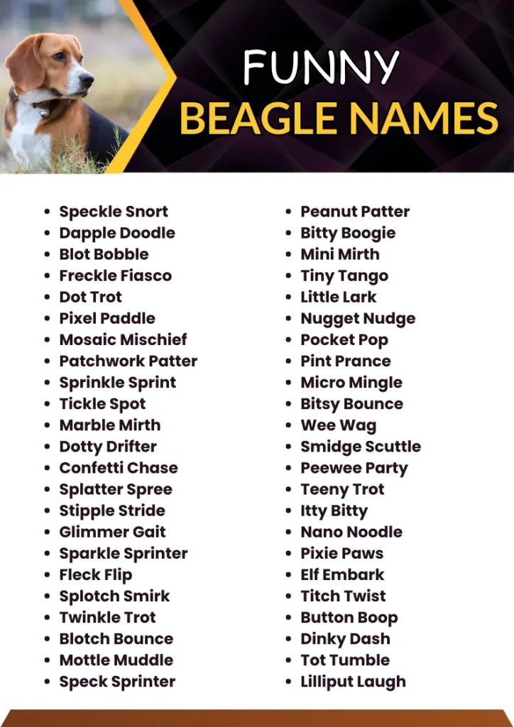 Funny Beagle Names infographic
