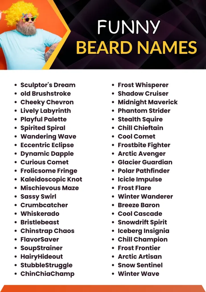 Funny Beard Names infographic
