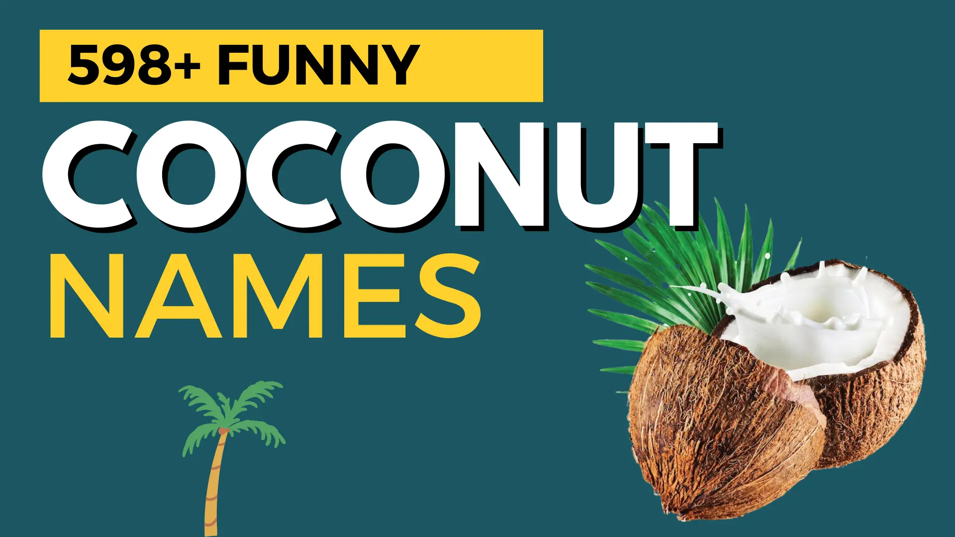 Funny Coconut Names