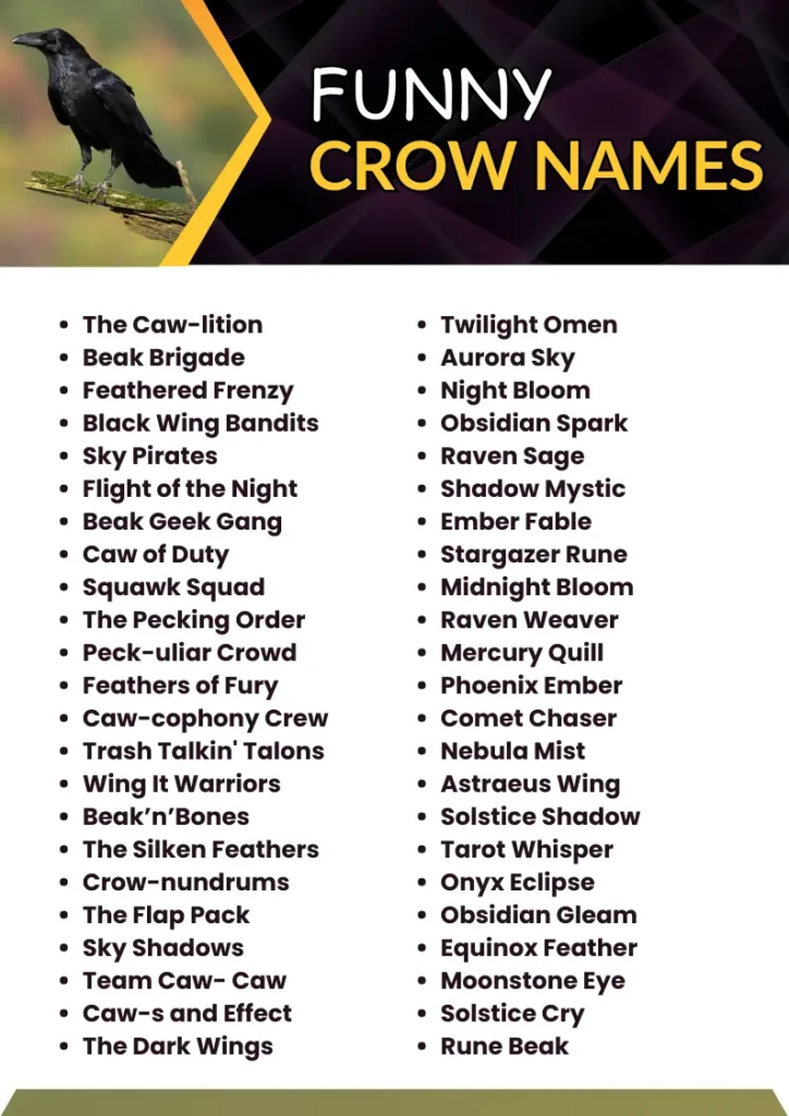 Funny Crow Names infographic