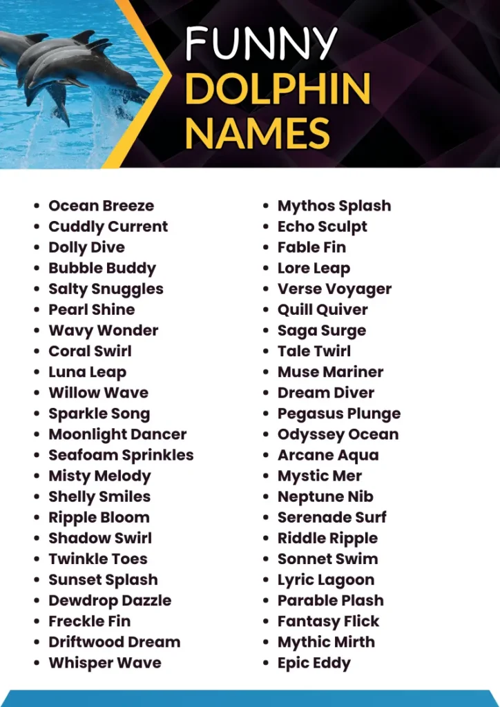 Funny Dolphin Names infographic