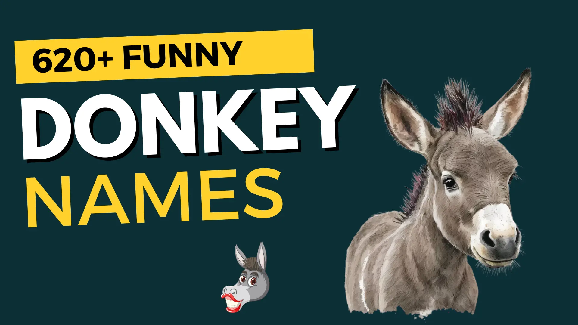 357+ Funny Donkey Names to Bray About + Generator!
