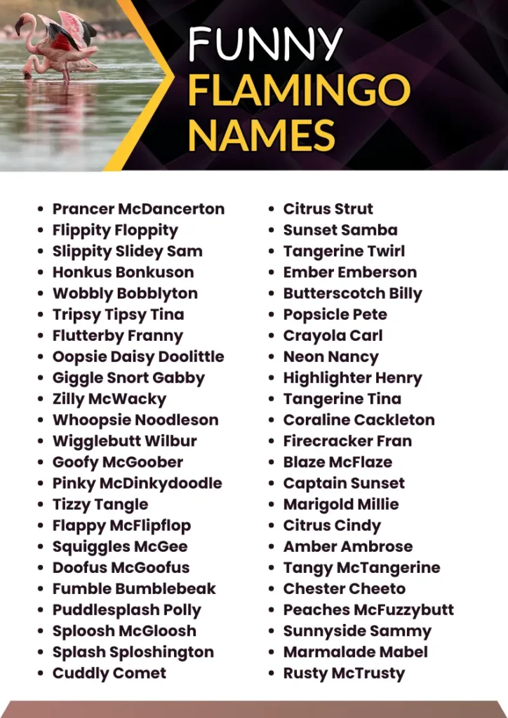 Funny Flamingo Names infographic