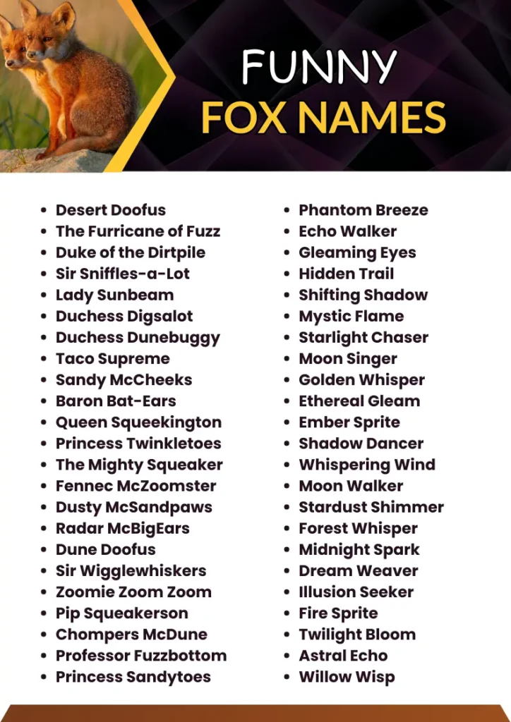 Funny Fox Names infographic