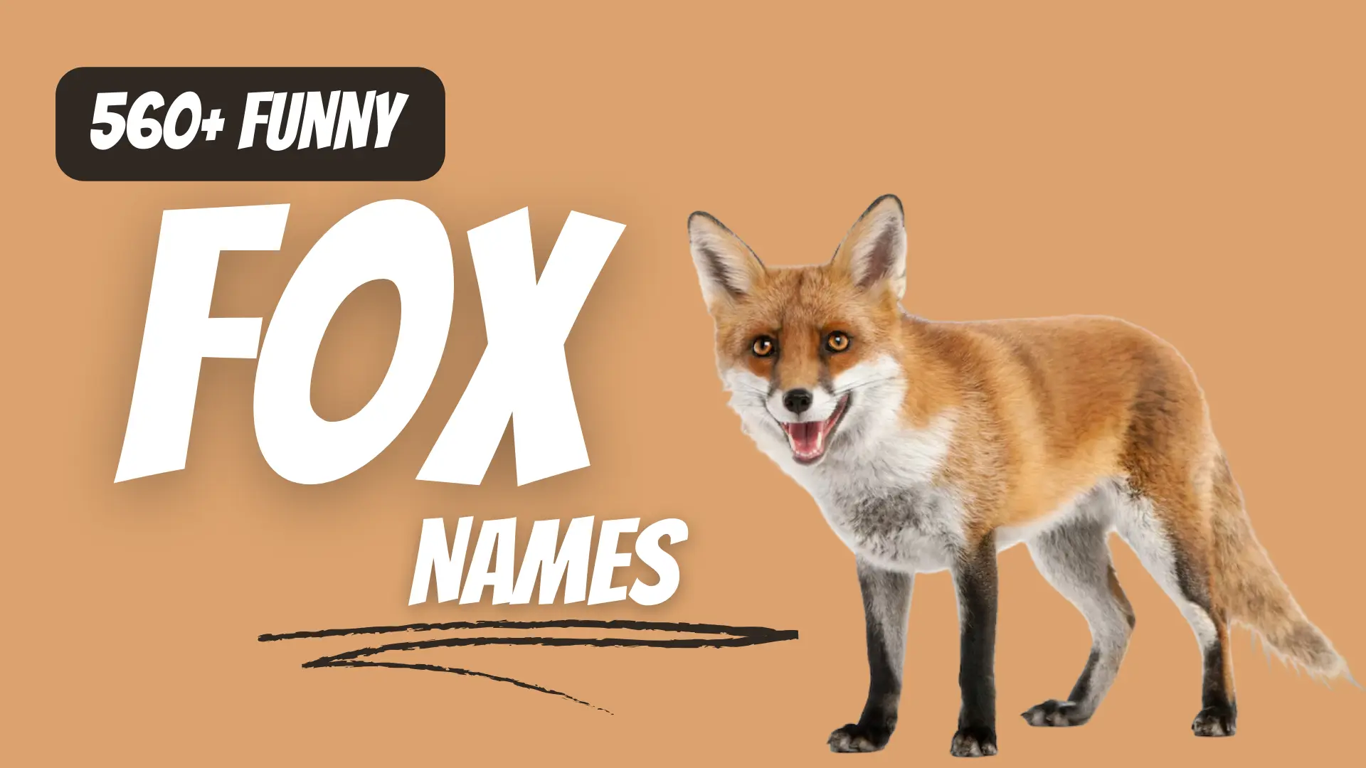 Funny Fox Names