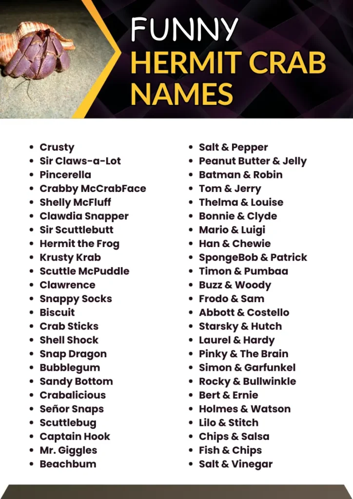 Funny Hermit Crab Names infographic