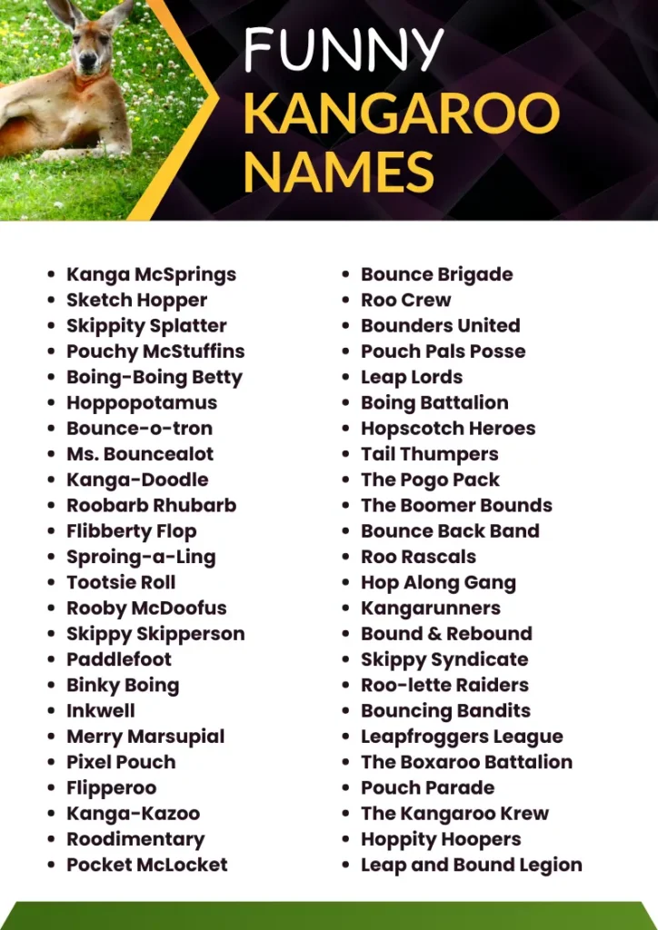 Funny Kangaroo Names infographic