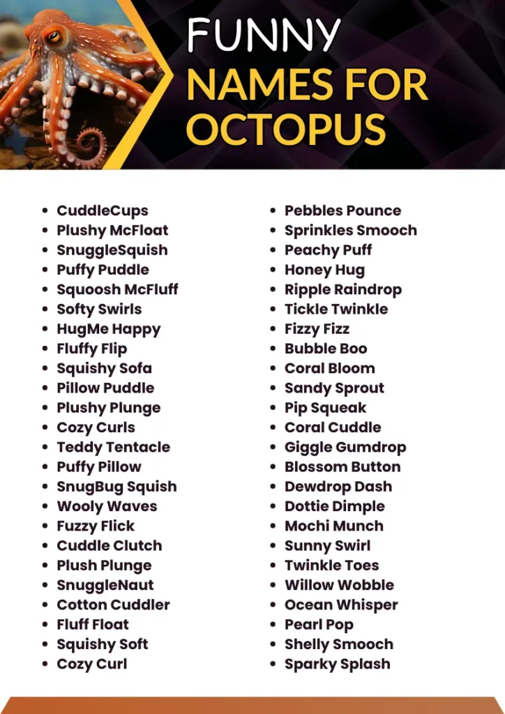Funny Names for Octopus infographic