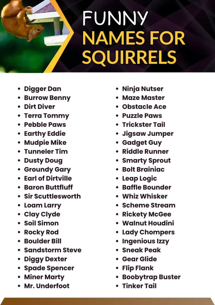 Funny Names for Squirrels infographic