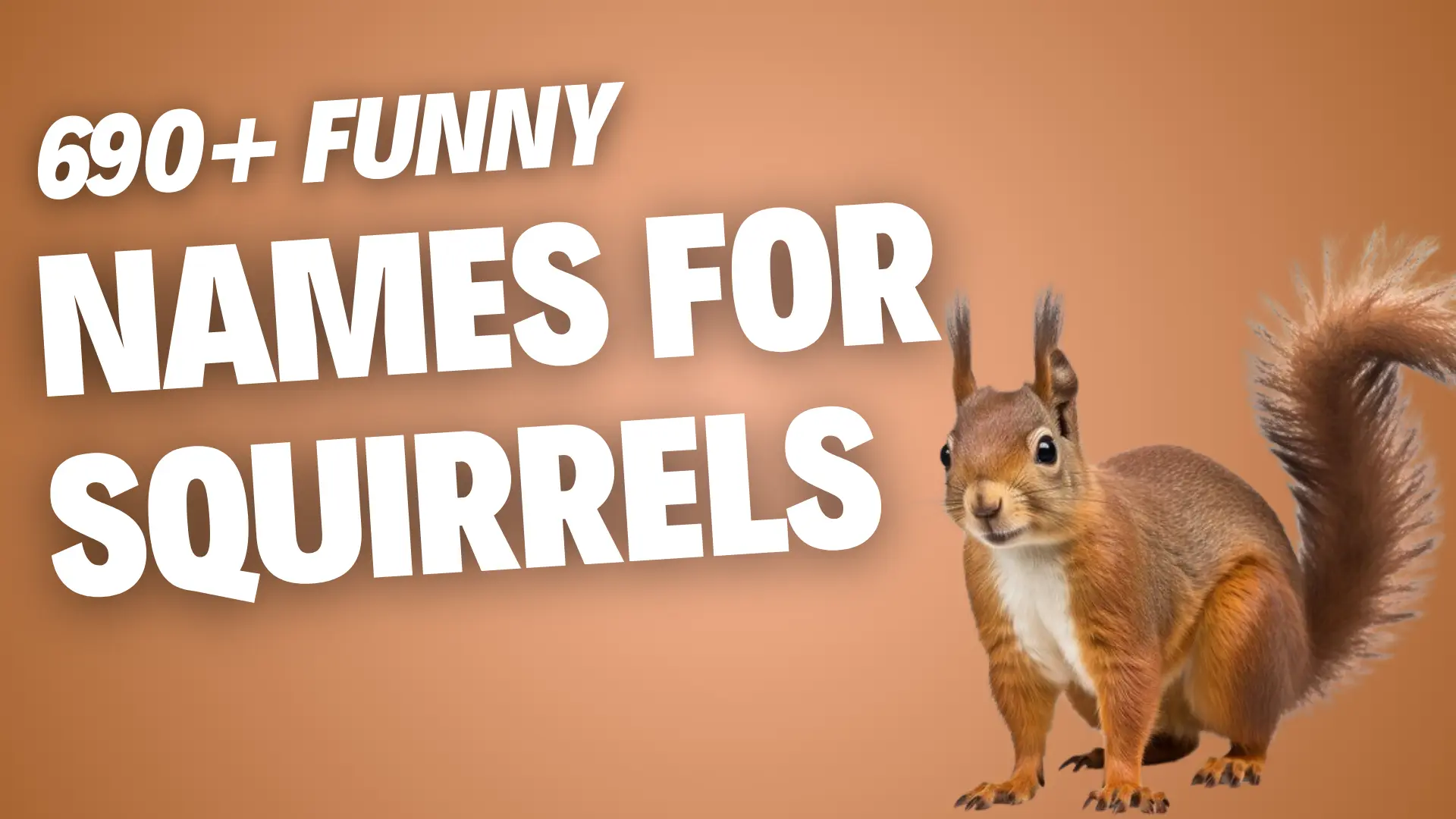 293+ Funny Names for Squirrels + Generator (2024)
