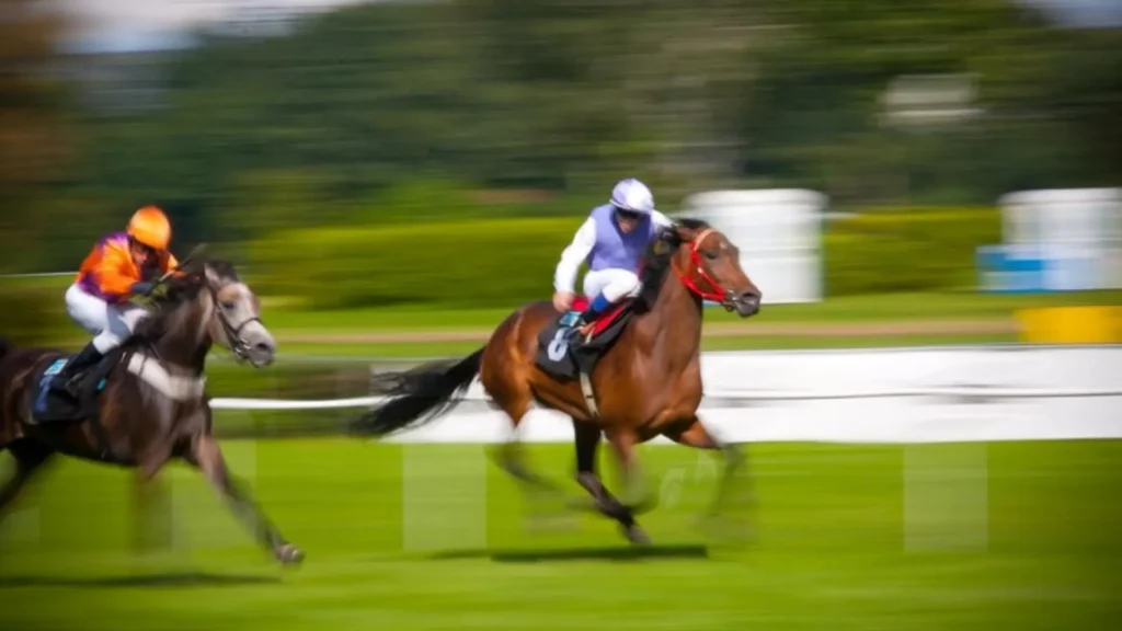 Funny Race Horse Names