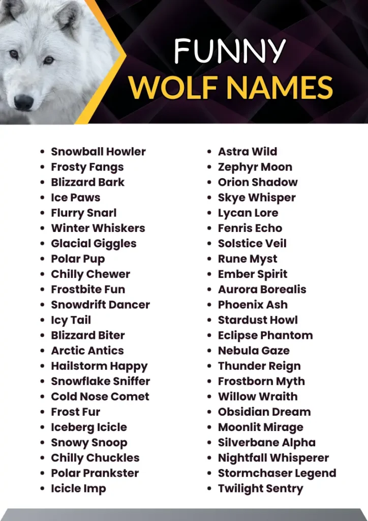 Funny Wolf Names infographic