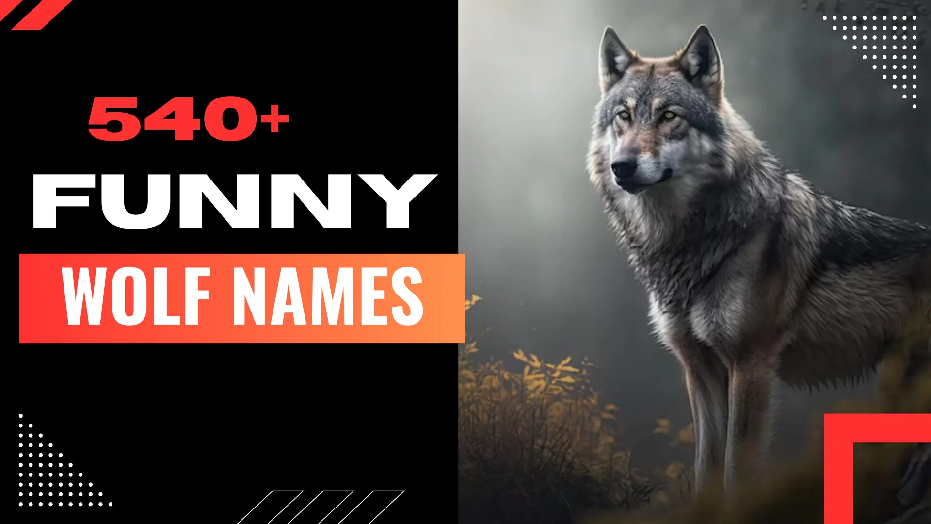 Funny Wolf Names