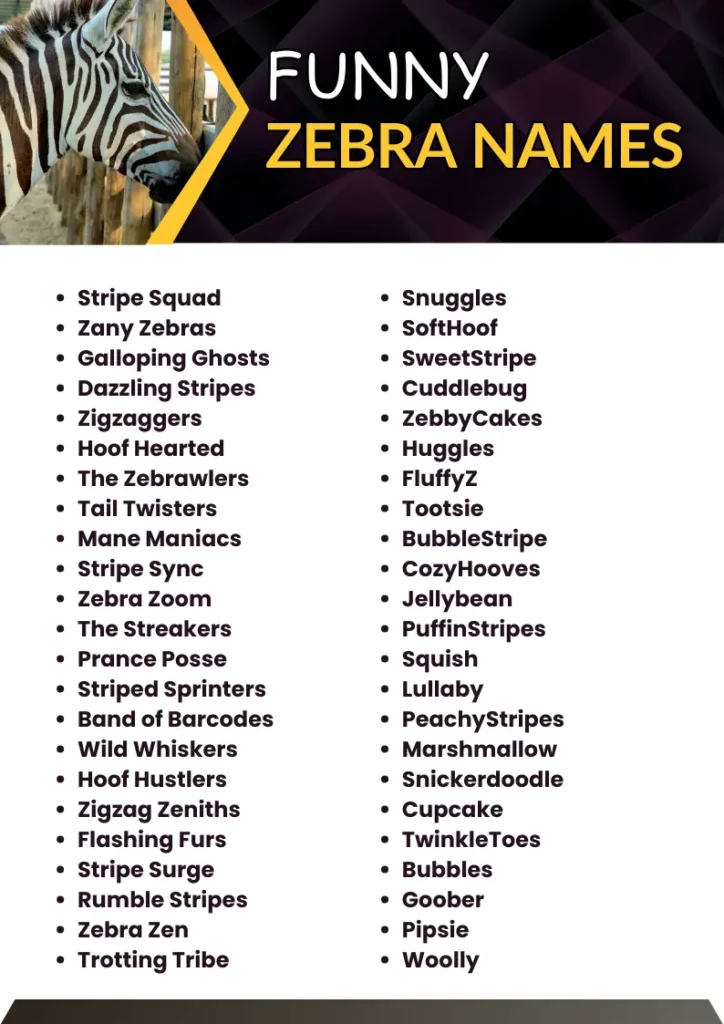 Funny Zebra Names infographic