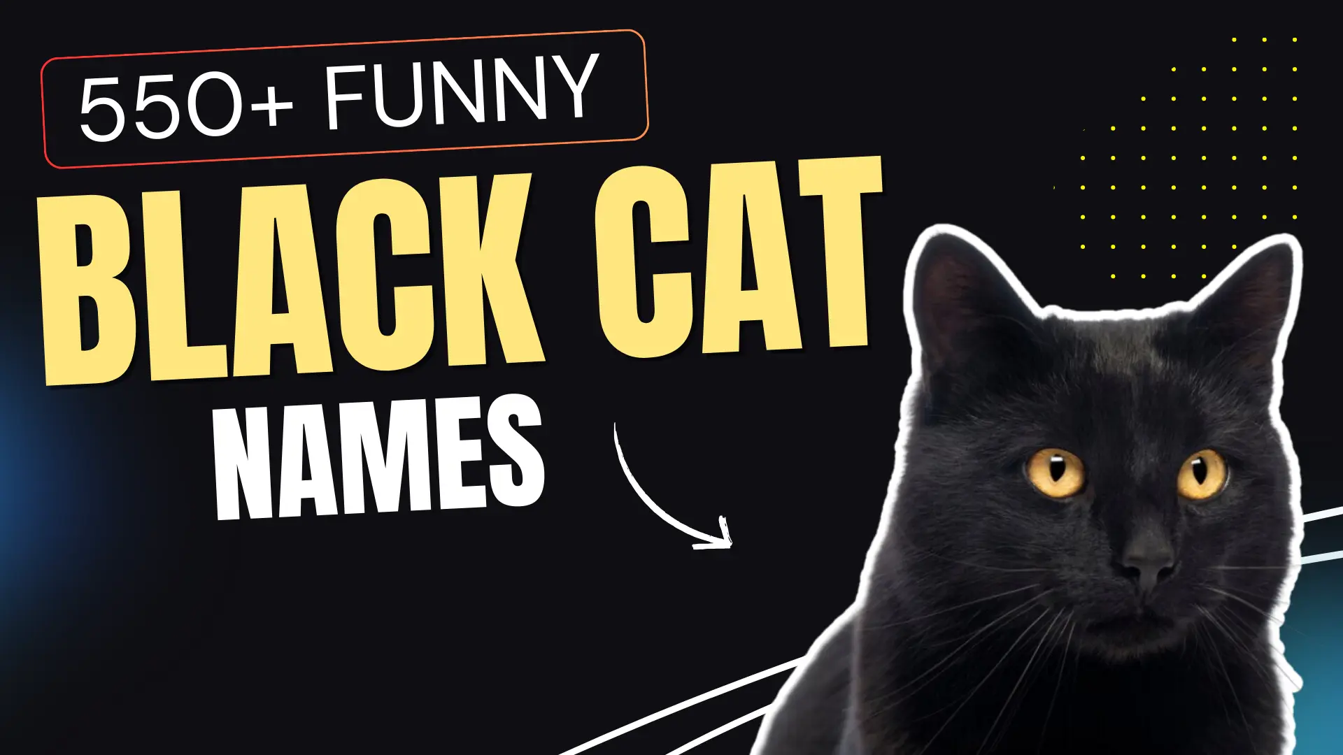 319+ Funny Black Cat Names + AI Generator
