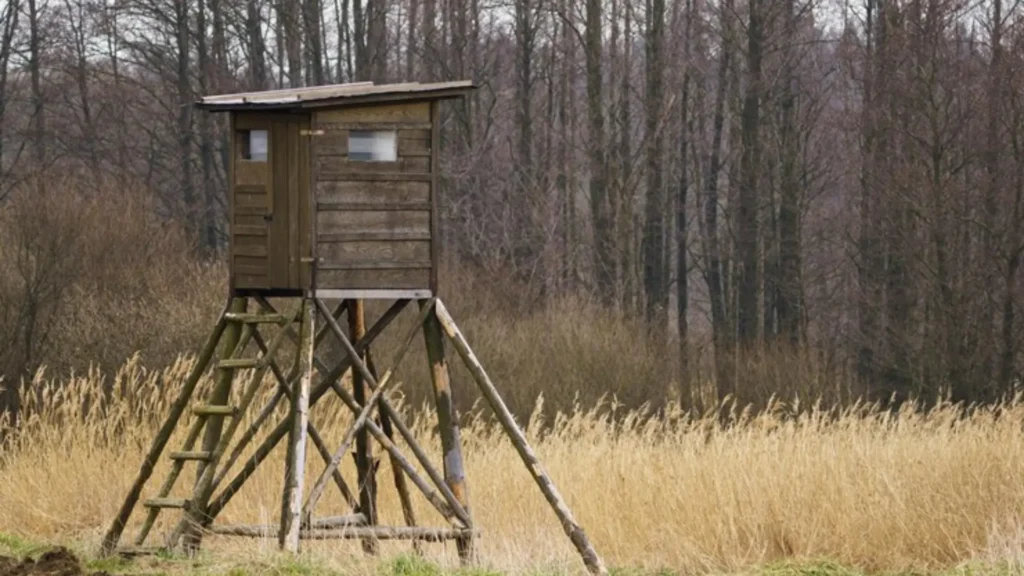 Funny Hunting Cabin Names