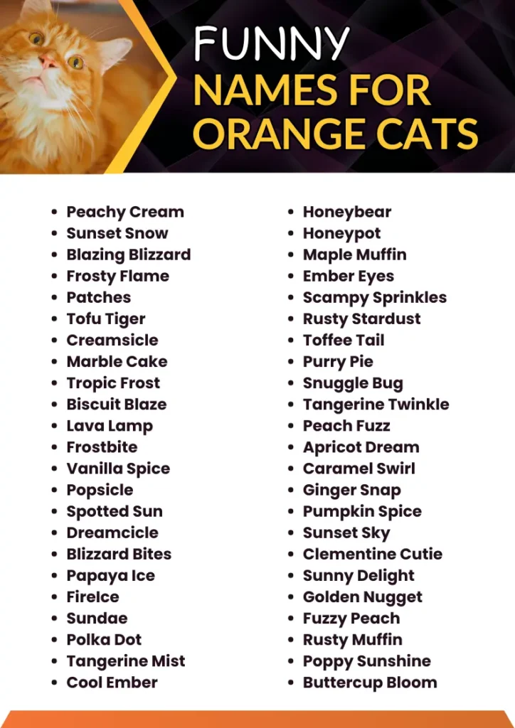 Funny Names for Orange Cats infographic