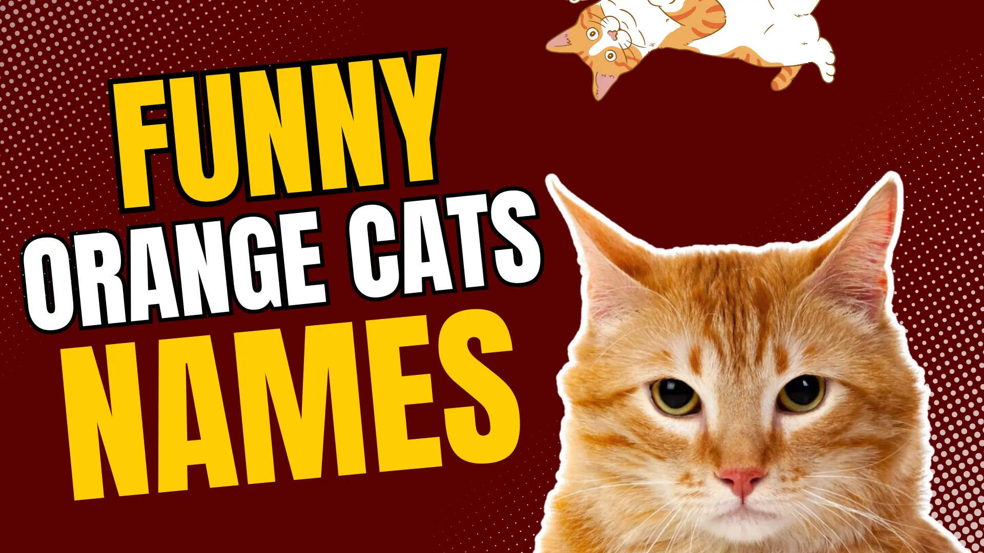 320+ Funny Names for Orange Cats in 2024
