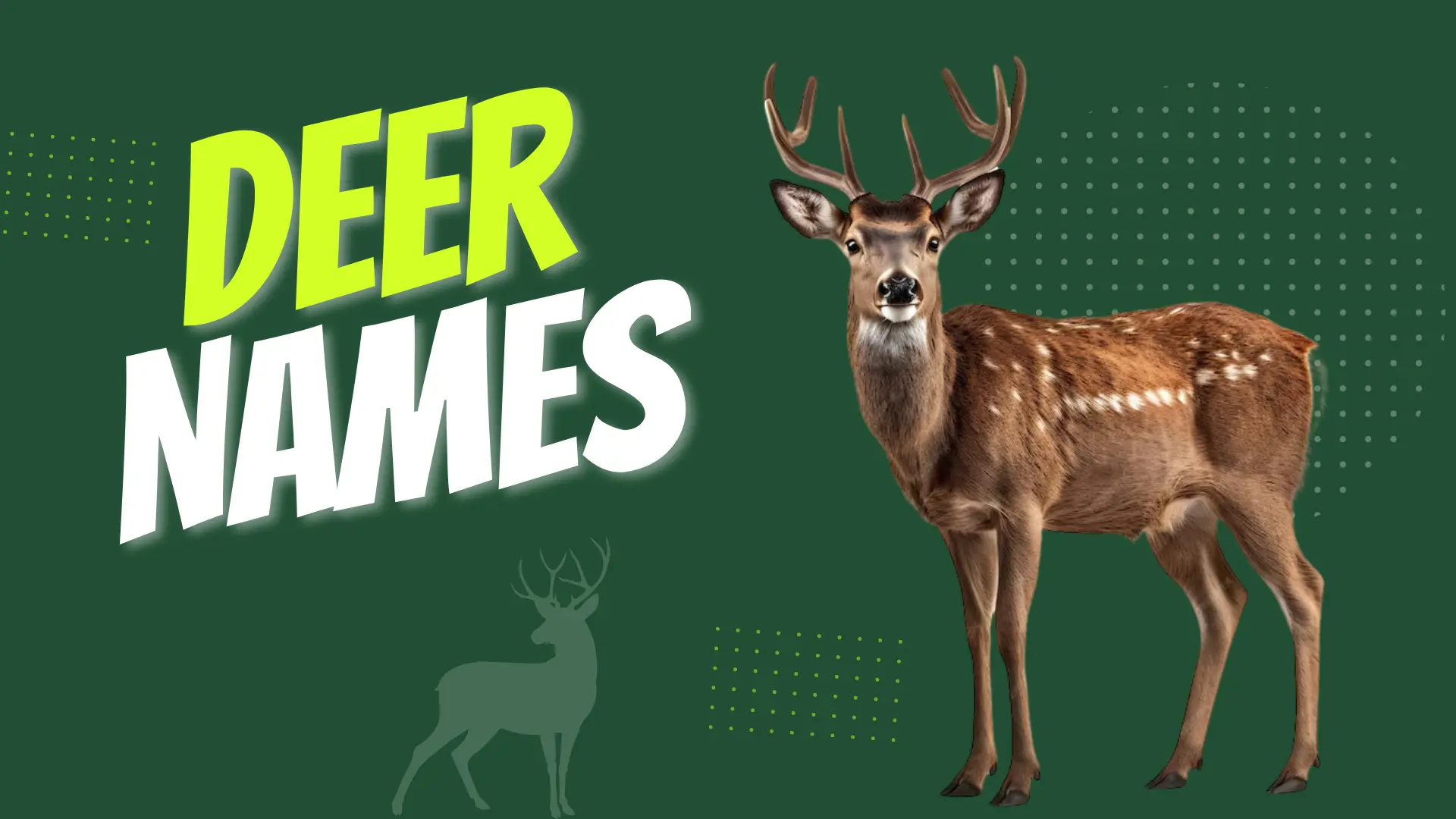 Deer Names Generator: 390+ Unique Ideas