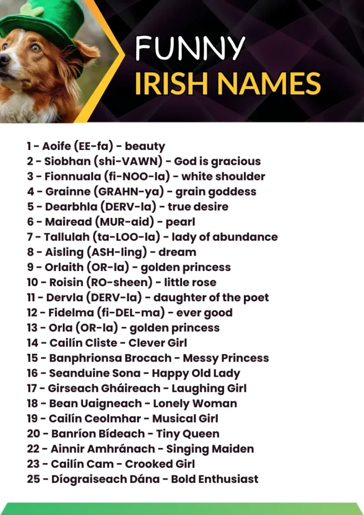 Funny Irish Names infographic
