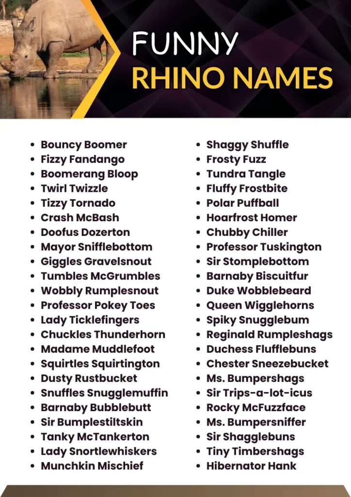 Funny Rhino Names infographic
