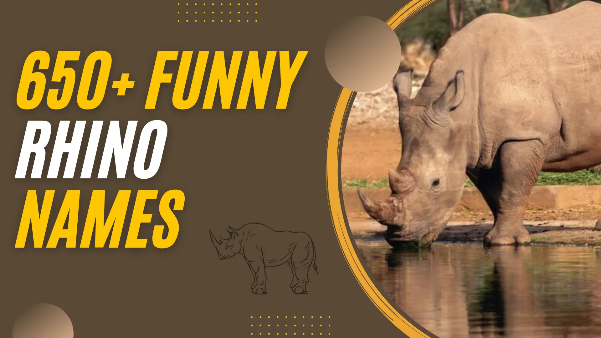291+ Funny Rhino Names + AI Generator (2024)